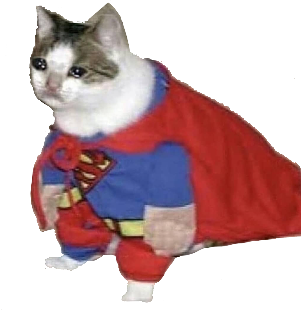 Super Cat_ Hero_ Meme.png PNG image