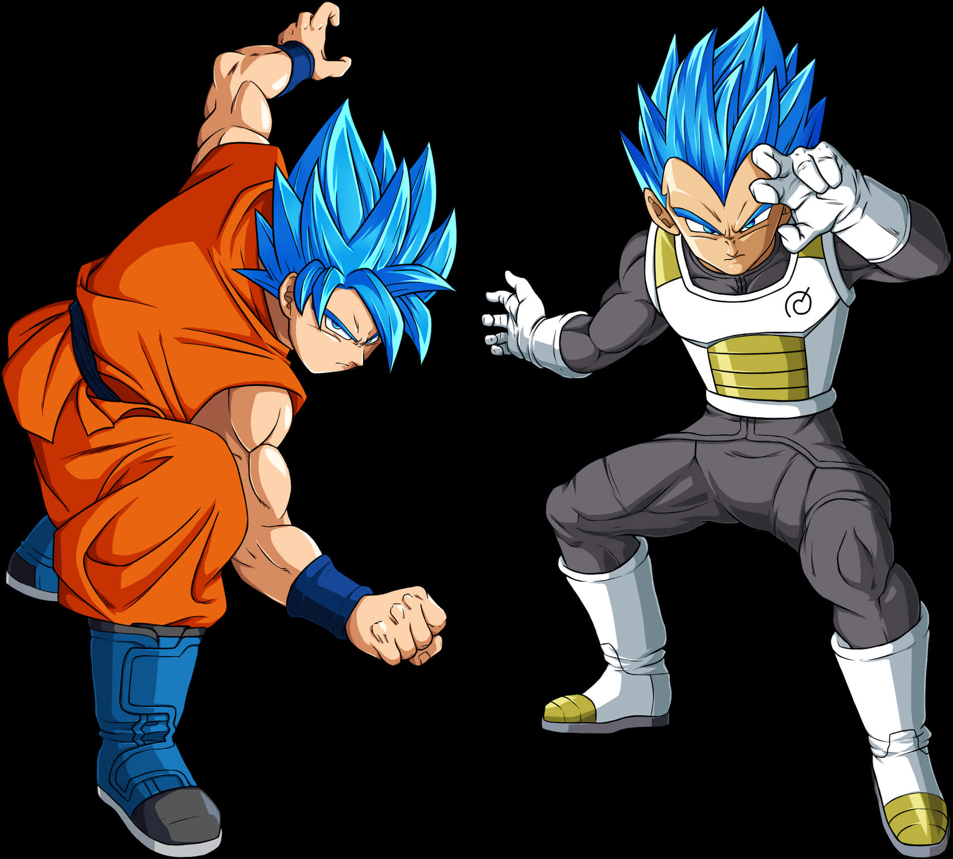 Super Saiyan Blue Gokuand Vegeta PNG image