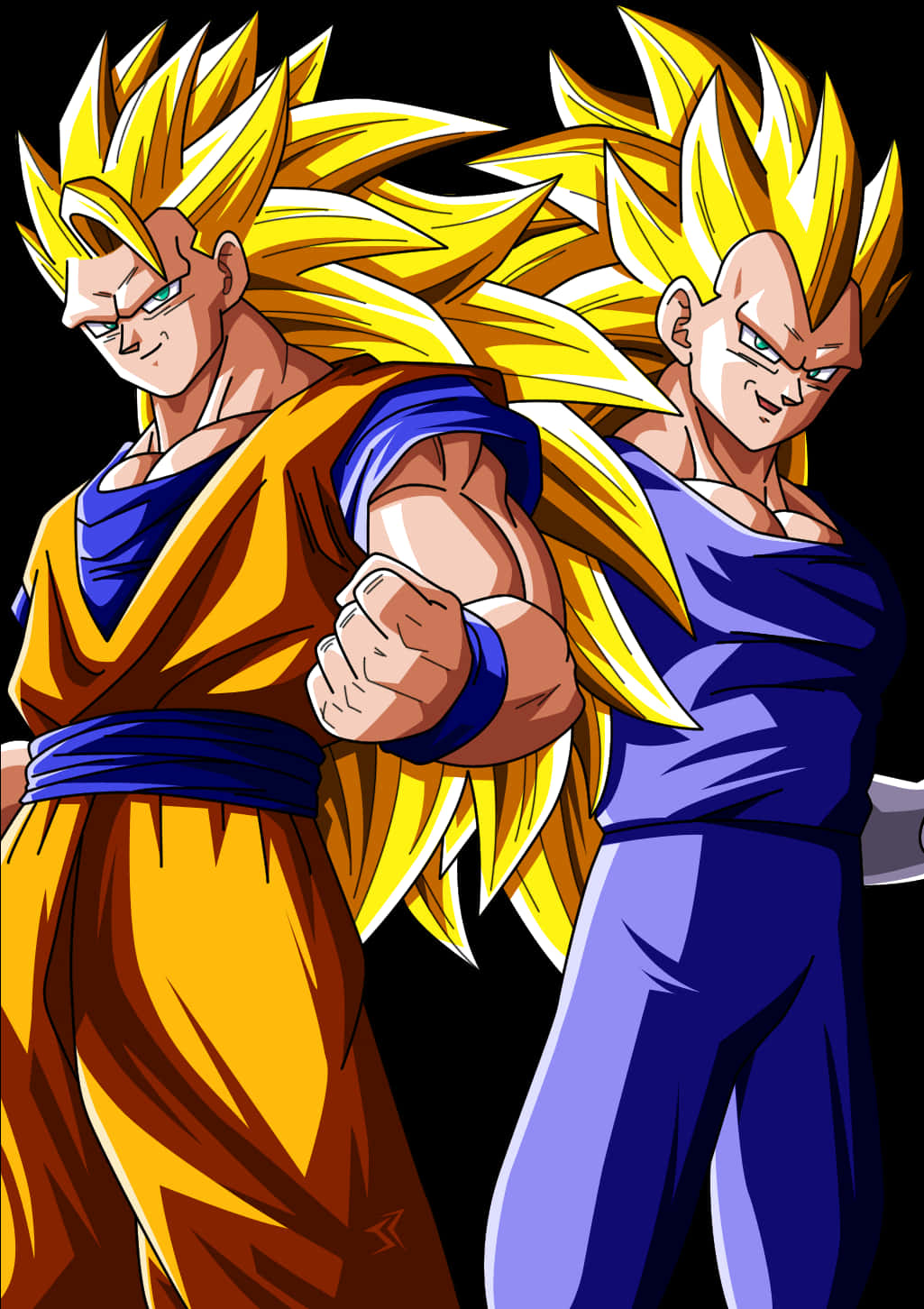 Super Saiyan Gokuand Vegeta Illustration PNG image