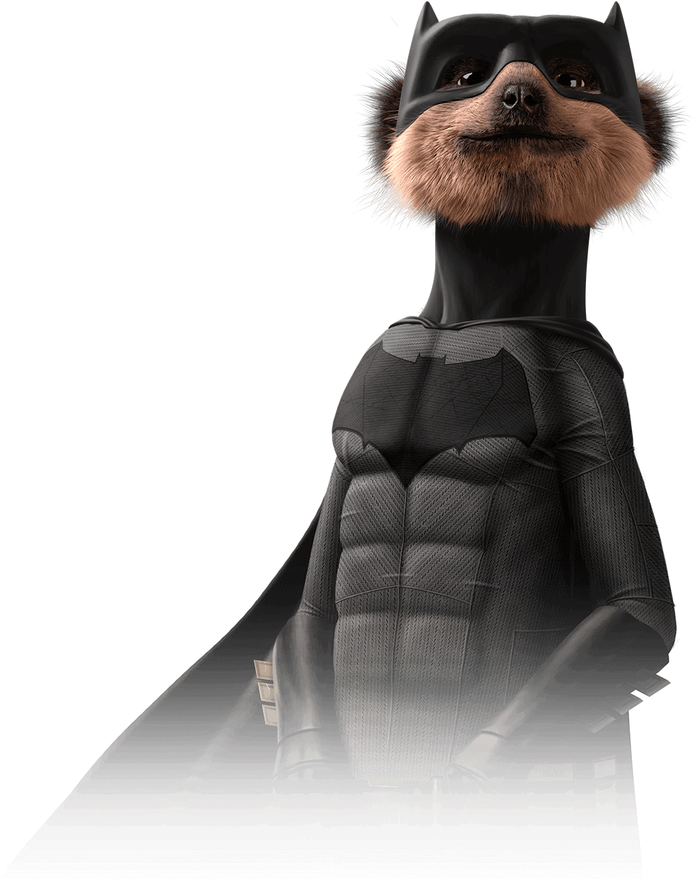 Superhero Meerkat Costume PNG image