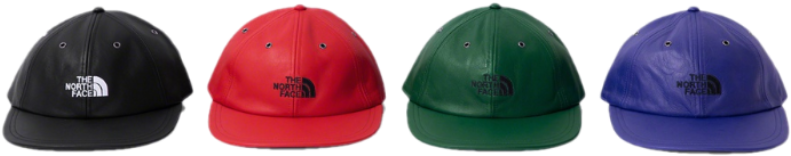 Supreme North Face Logo Hats PNG image