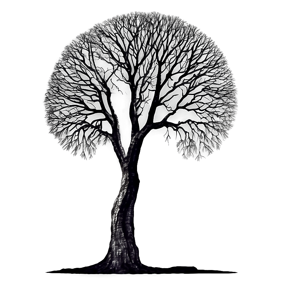 Surreal Black Trees Png 06292024 PNG image