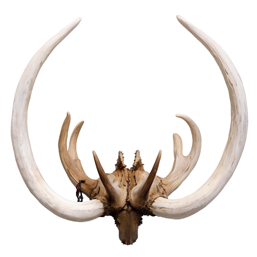 Surreal Deer Antler Creation Png Fin PNG image