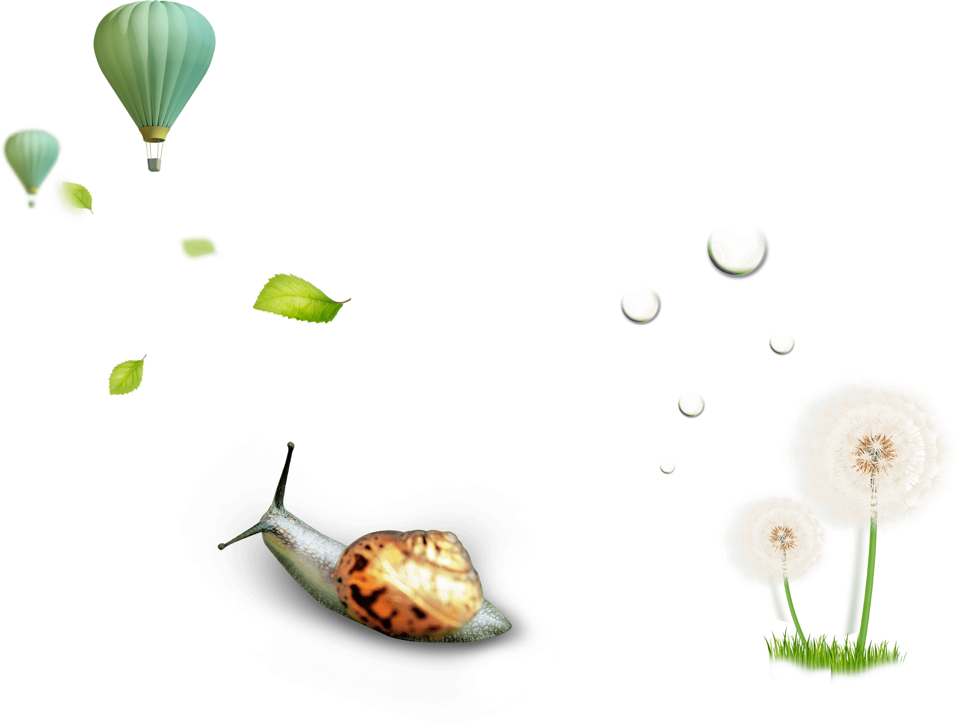 Surreal Nature Balloon Snail Dandelion PNG image