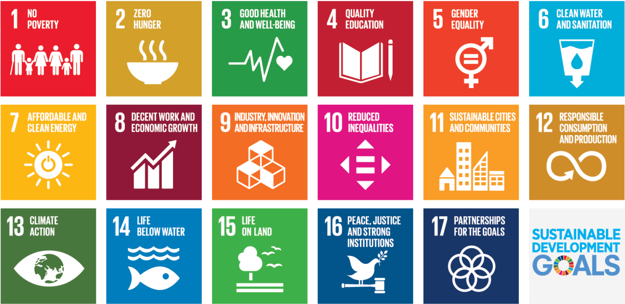 Sustainable Development Goals Icons PNG image