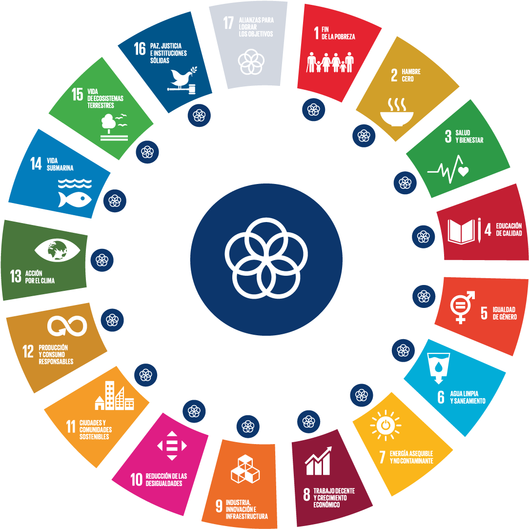 Sustainable Development Goals Infographic PNG image