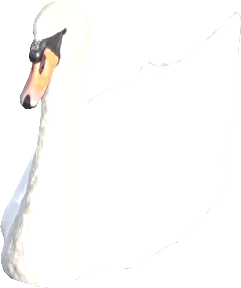 Swan With Dog Face.png PNG image