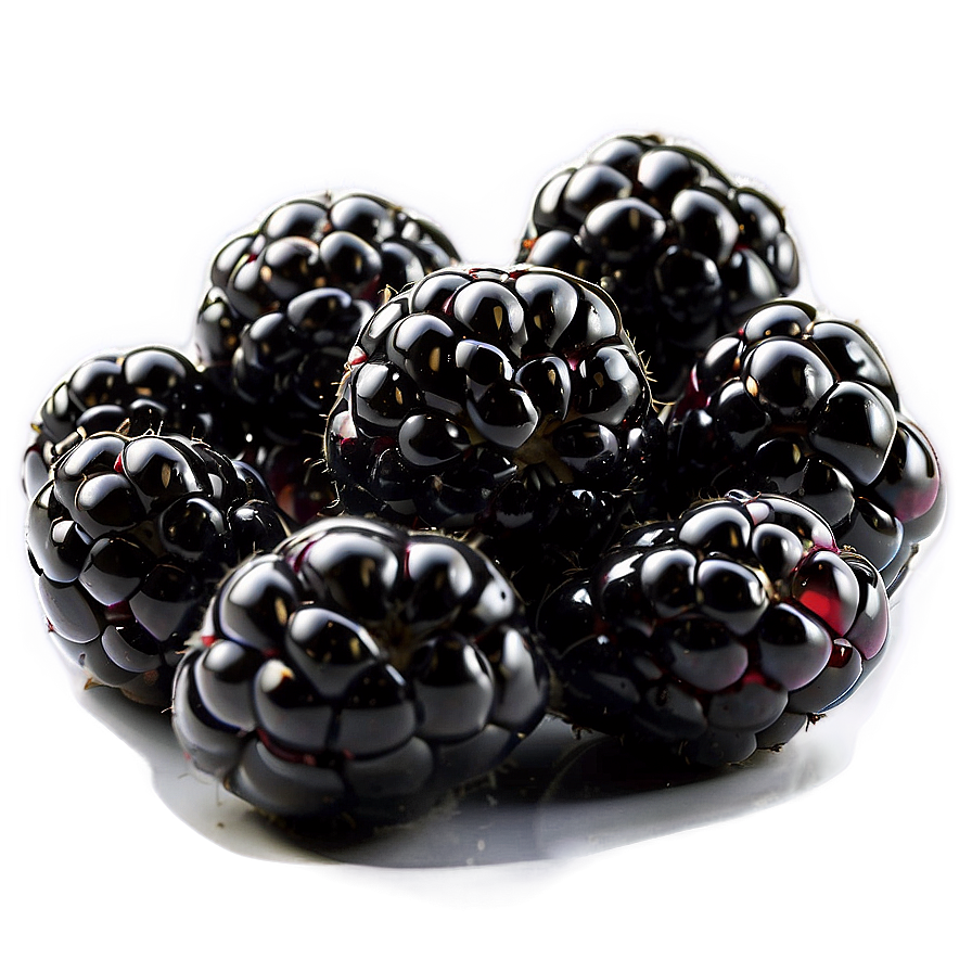 Sweet Blackberry Png 50 PNG image