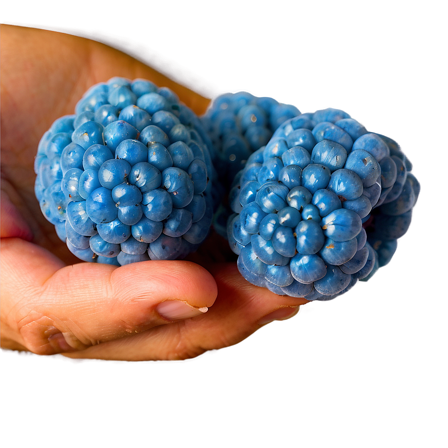 Blue Raspberry Png Images (100++)