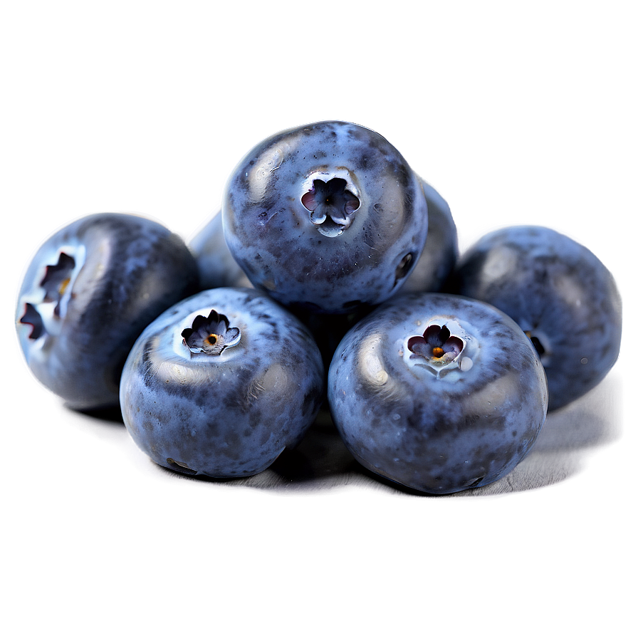 Sweet Blueberry Treat Png 05212024 PNG image