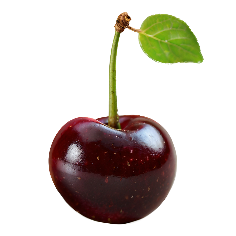 Sweet Cherry Png Qyh91 PNG image