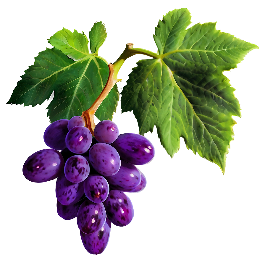 Sweet Grapes Png 49 PNG image