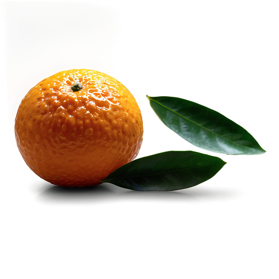 Sweet Navel Oranges Png Vmk42 PNG image