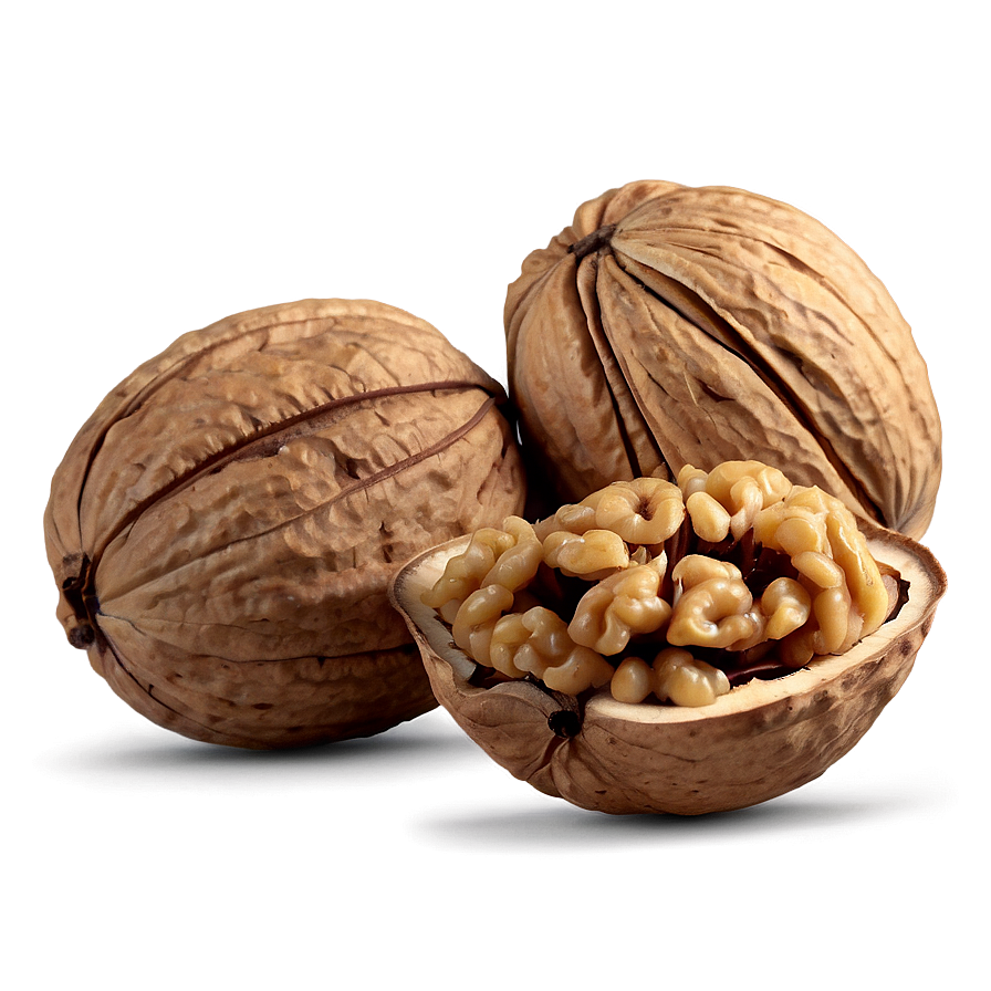 Sweet Walnut Png 96 PNG image