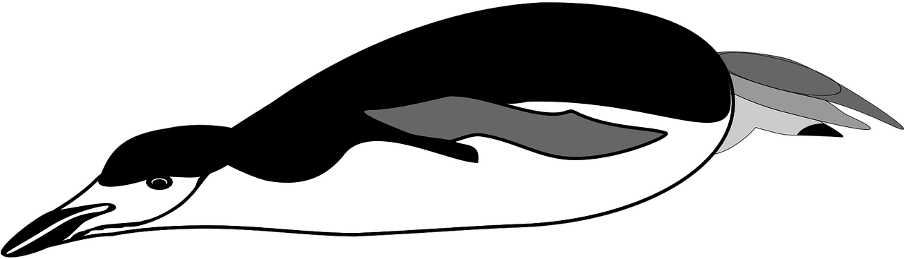 Swimming Penguin Illustration PNG image