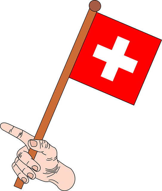 Swiss Flagin Hand Illustration PNG image