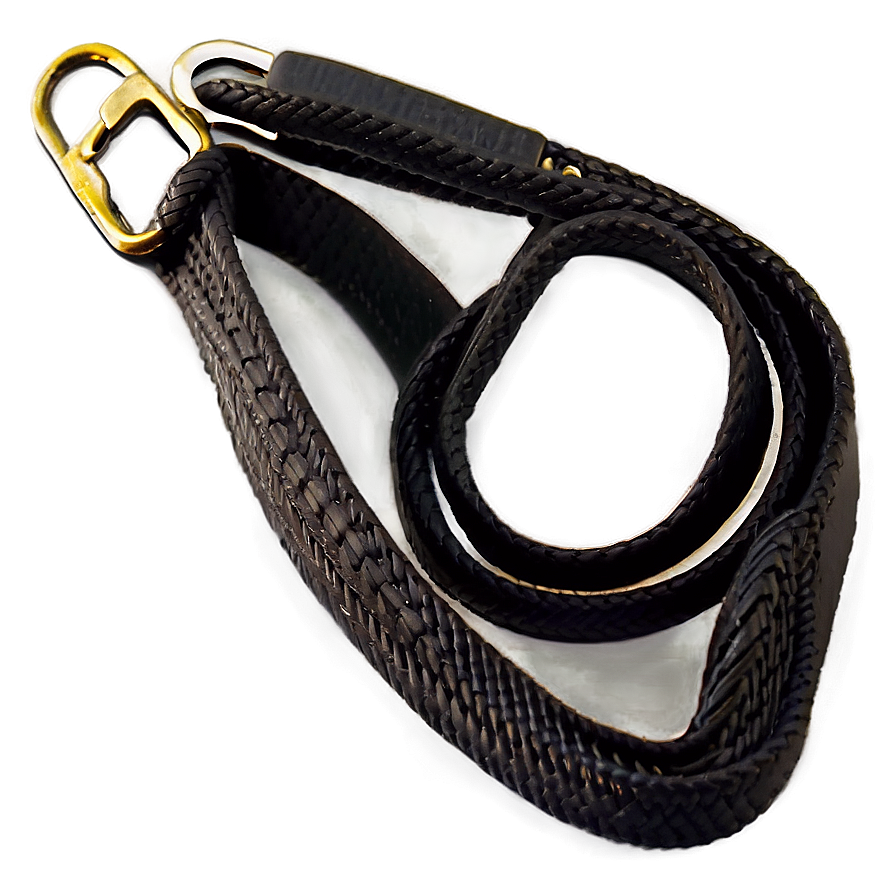 Swivel Dog Leash Png Fsq3 PNG image