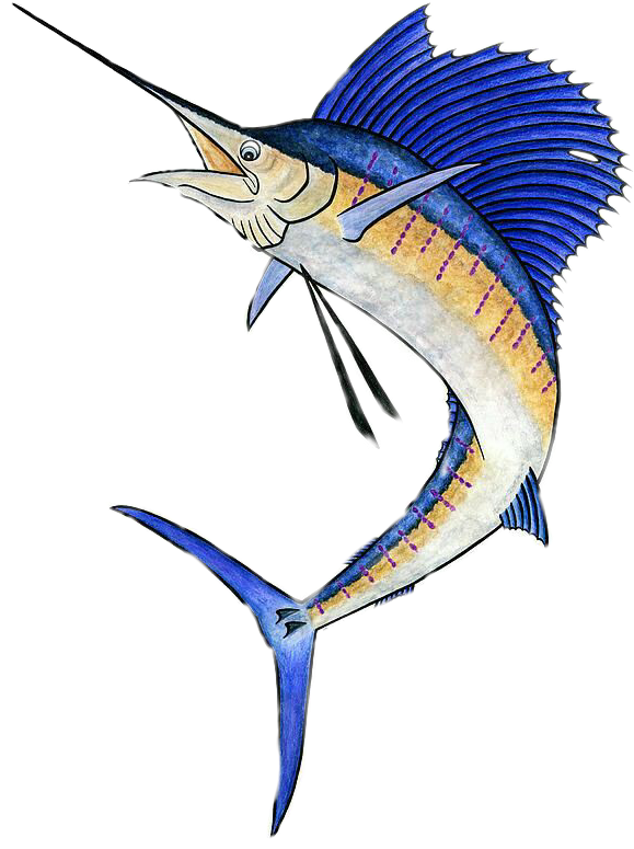 Swordfish Illustration Artwork PNG image