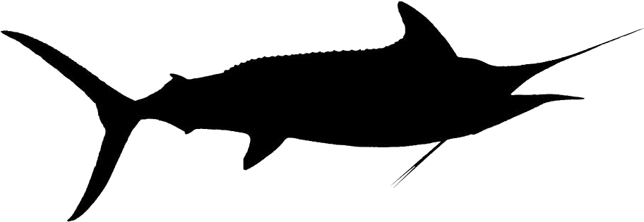 Swordfish Silhouette PNG image