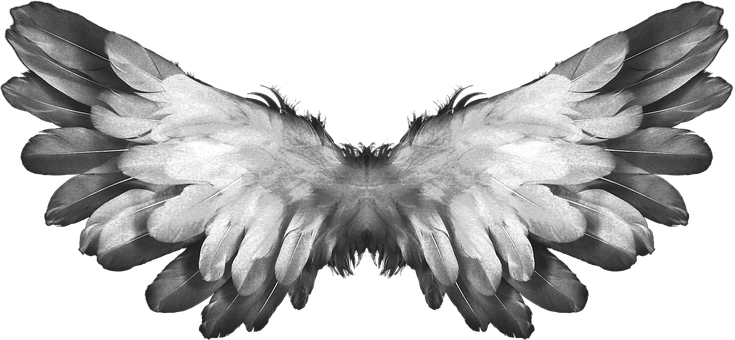 Symmetrical Angel Wings Black Background PNG image