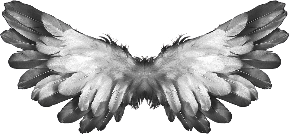 Symmetrical Angel Wings PNG image