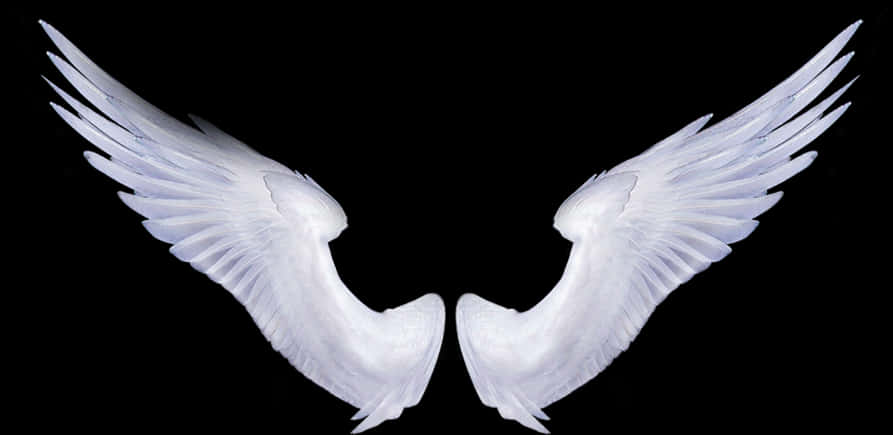 Symmetrical Angel Wingson Black Background PNG image