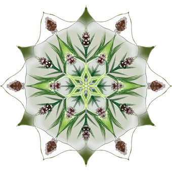 Symmetrical Green Floral Mandala PNG image