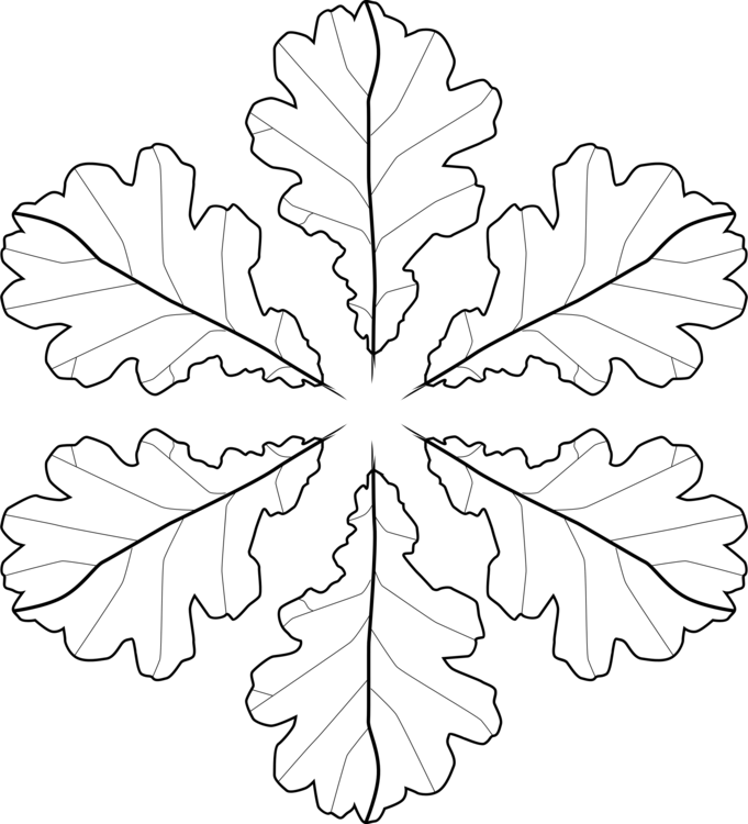 Symmetrical Oak Leaves Pattern PNG image