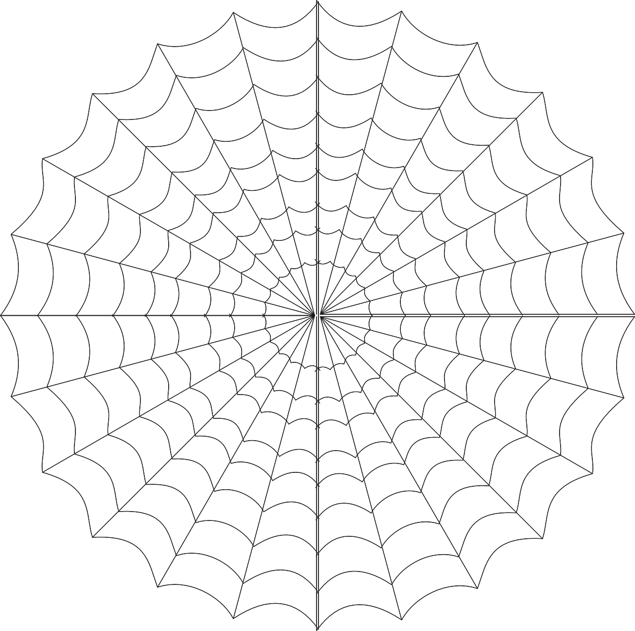 Symmetrical Spider Web Illustration PNG image