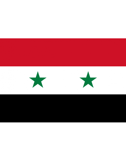 Syrian National Flag PNG image