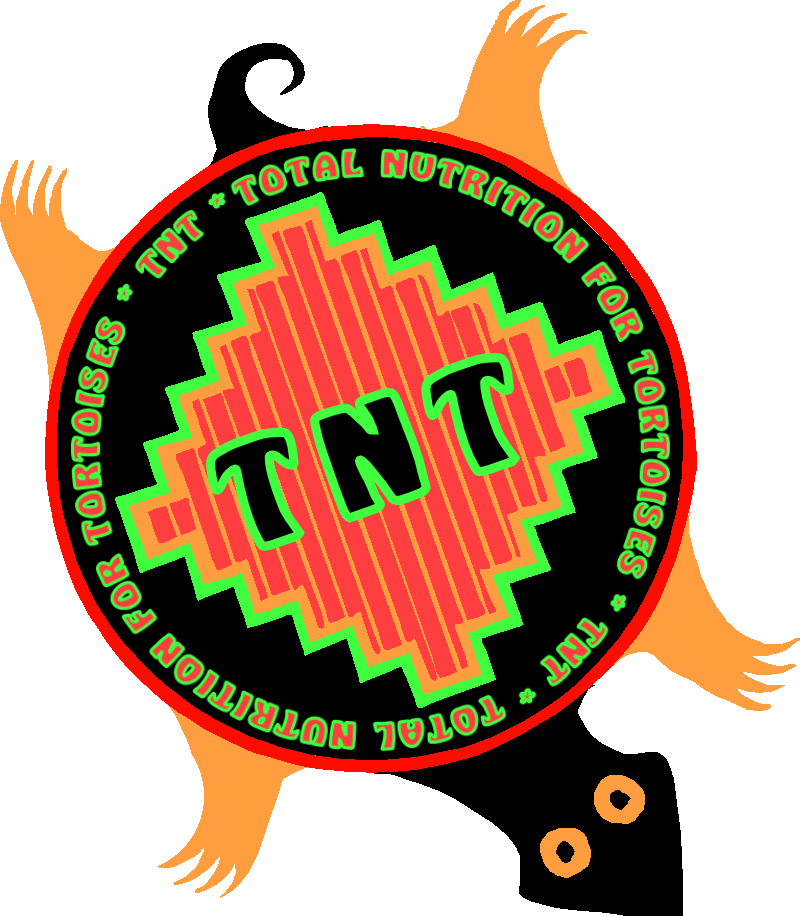 T N T Tortoise Nutrition Logo PNG image