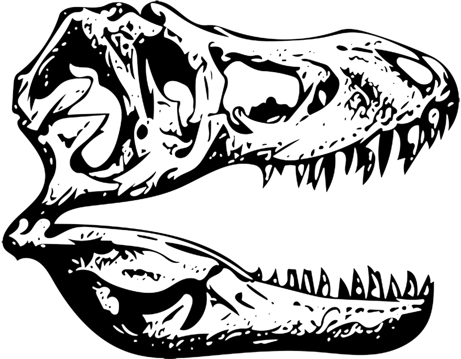 T Rex Skull Silhouette PNG image