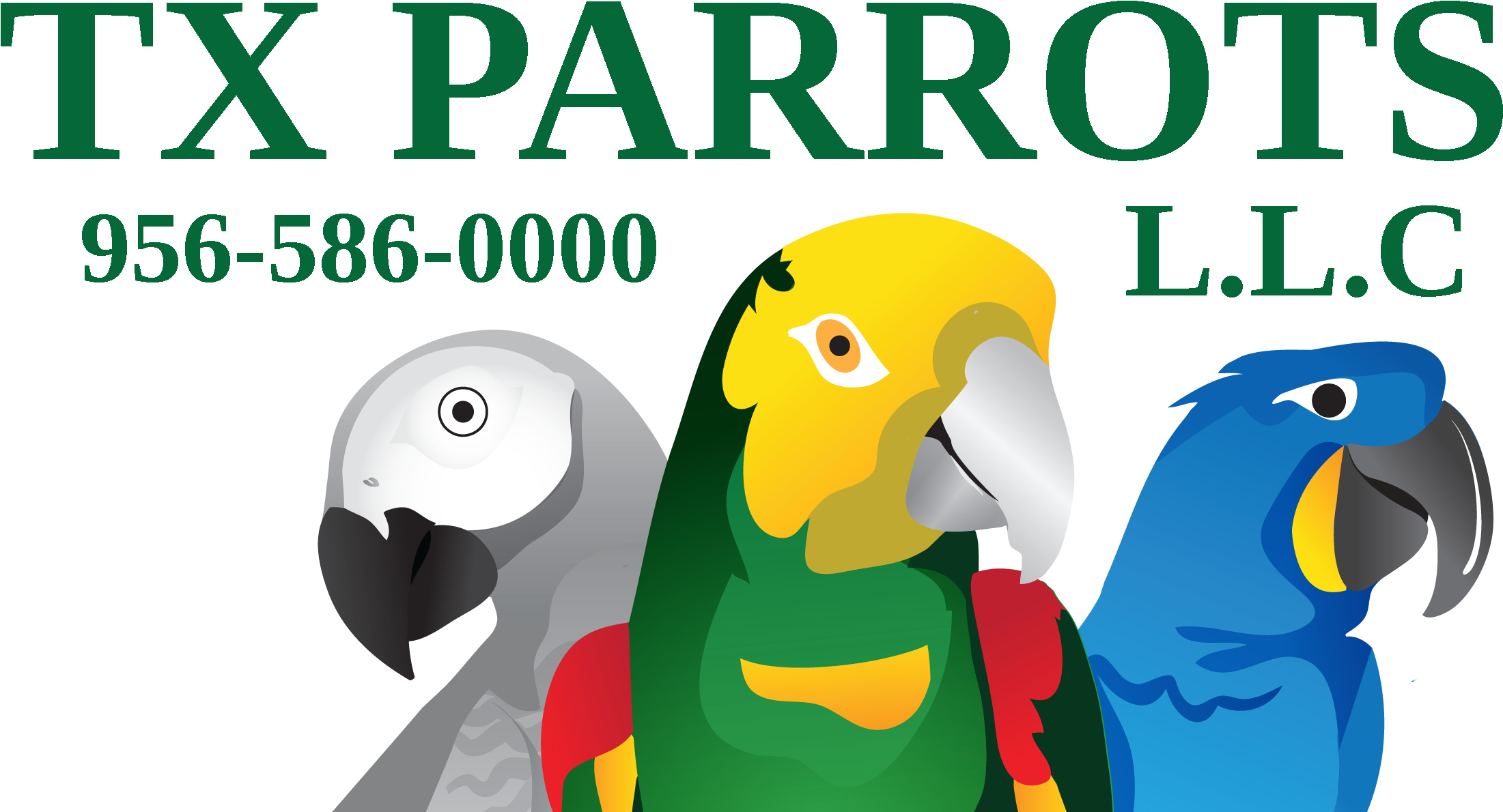 T X Parrots Logo Graphic PNG image