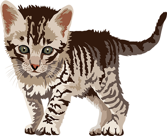 Tabby Kitten Illustration.png PNG image