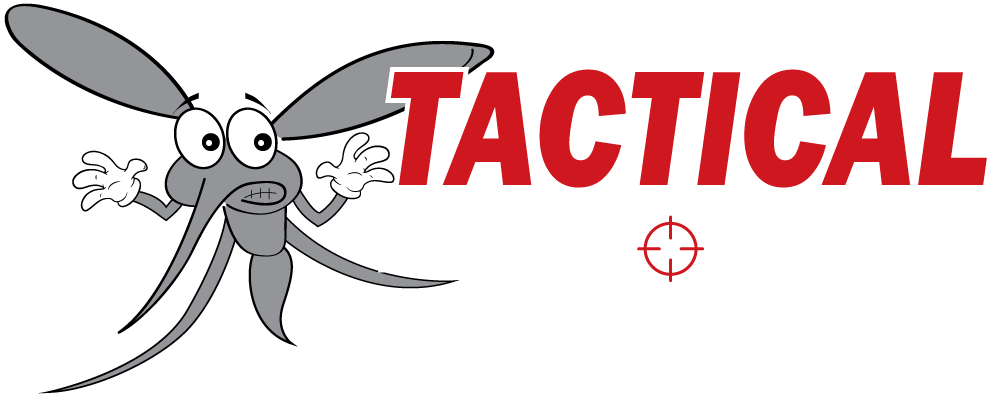 Mosquito Png Images (200++)