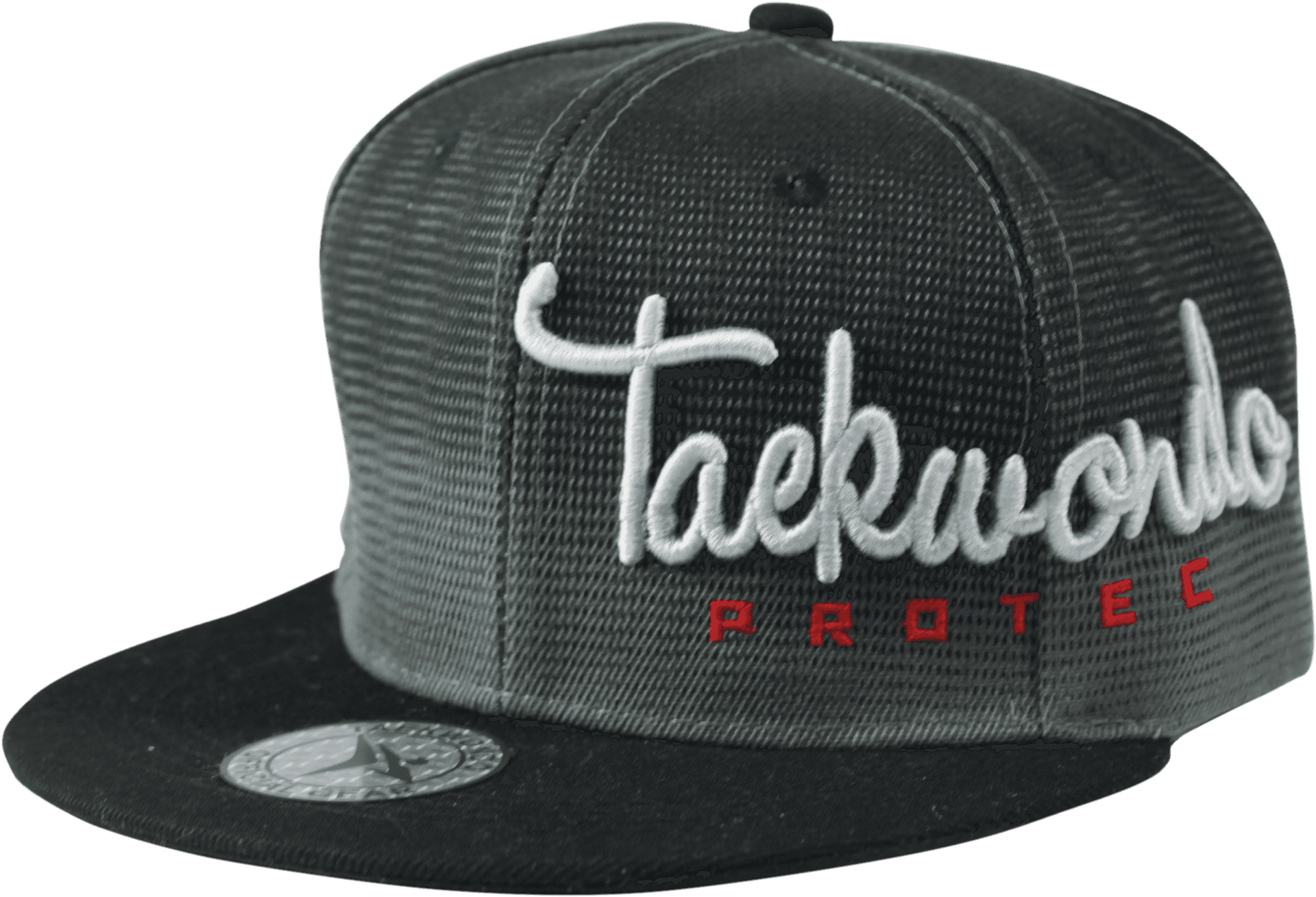 Taekwondo Protec Black Snapback Hat PNG image