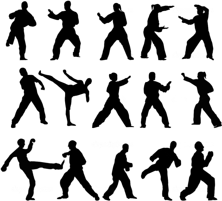 Taekwondo Silhouettes Set PNG image