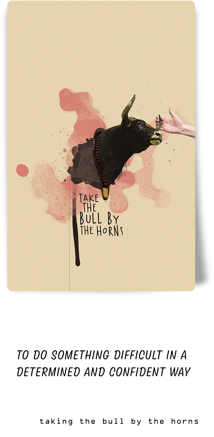 Take The Bull By The Horns Notebook Cover PNG image