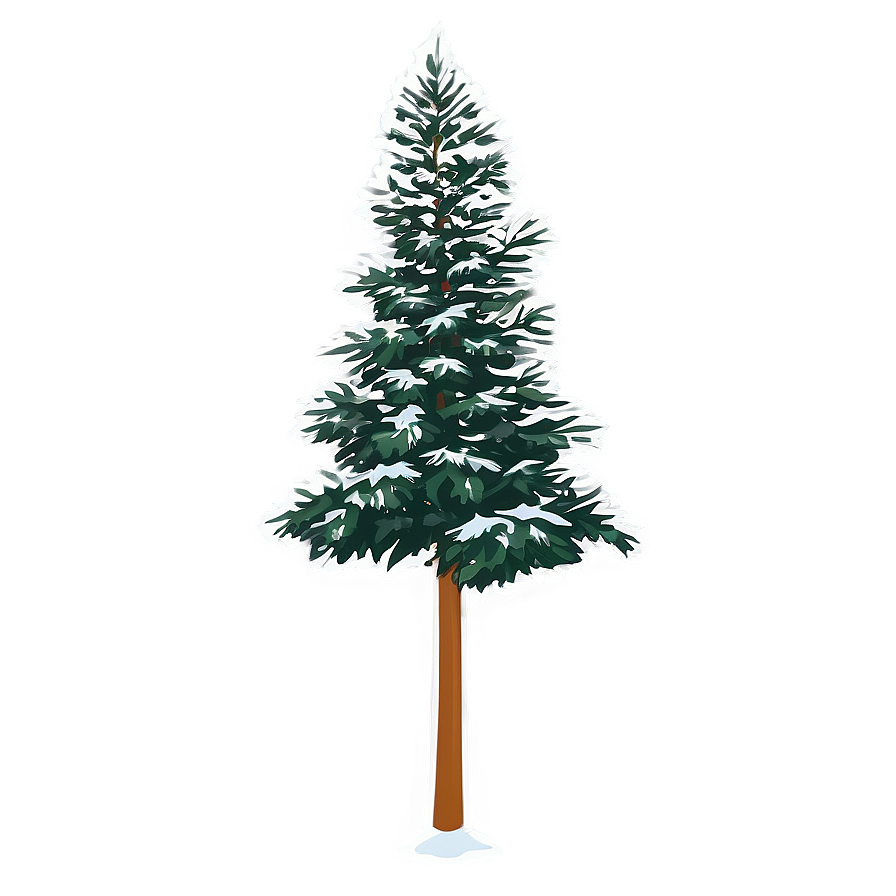 Tall Evergreen Tree Png 06212024 PNG image