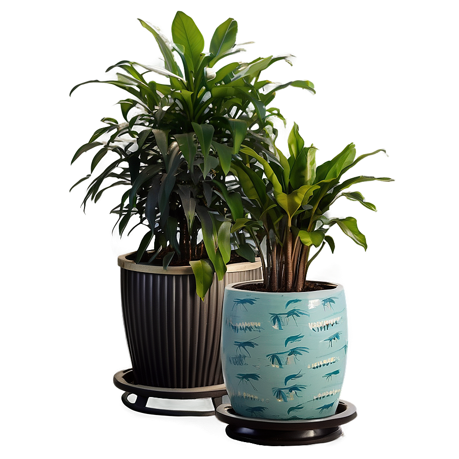 Tall Potted Plants For Privacy Png Erx22 PNG image