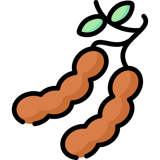 Tamarind Pod Vector Illustration PNG image