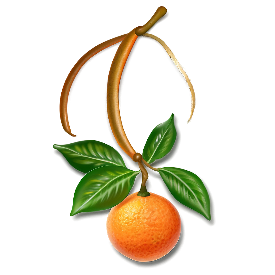 Tangerine Artistic Png Bvj86 PNG image