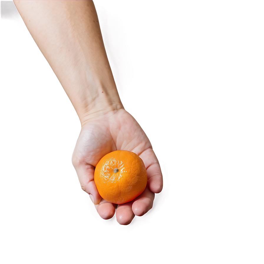 Tangerine In Hand Png Jlg PNG image