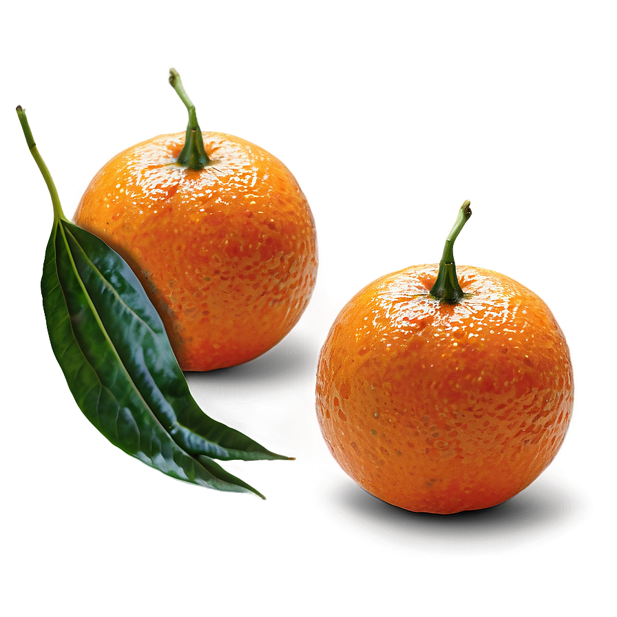 Tangerine Orange Png 8 PNG image