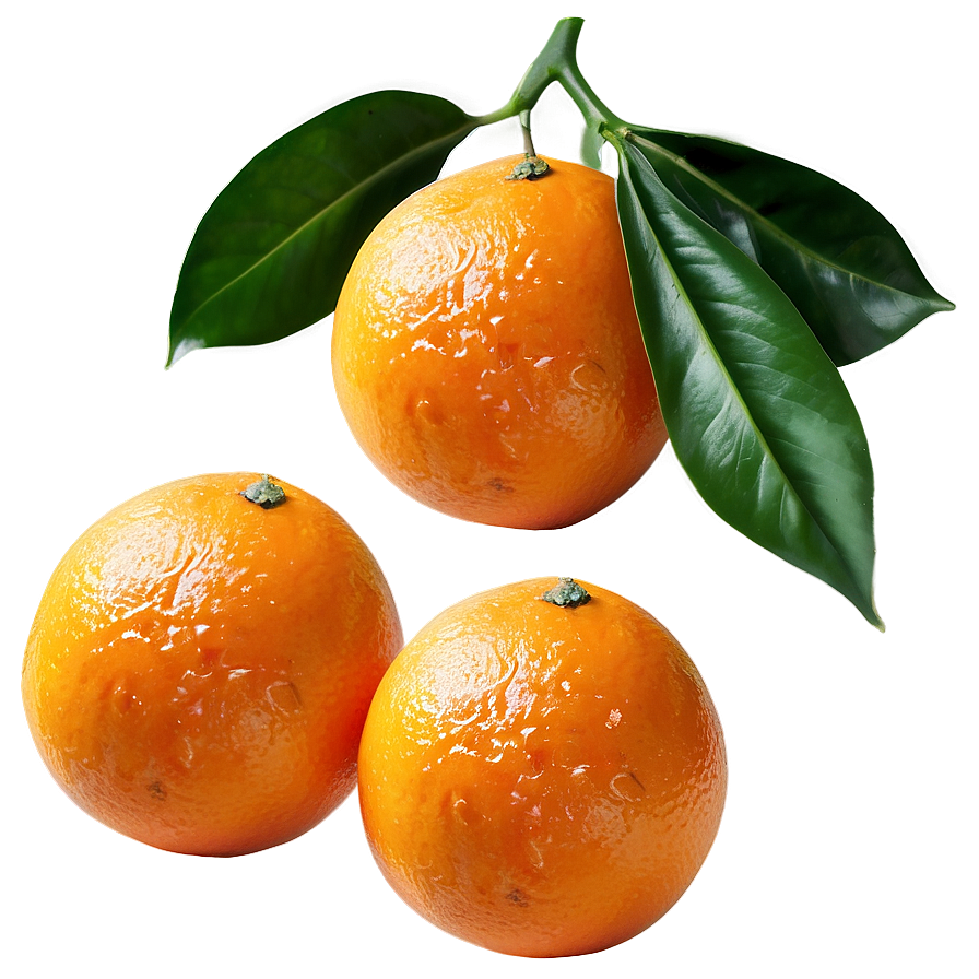 Tangerine Oranges Png 06112024 PNG image