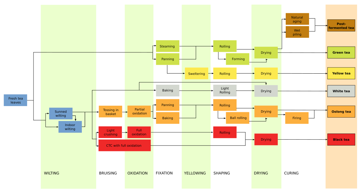 Tea Processing Flowchart PNG image