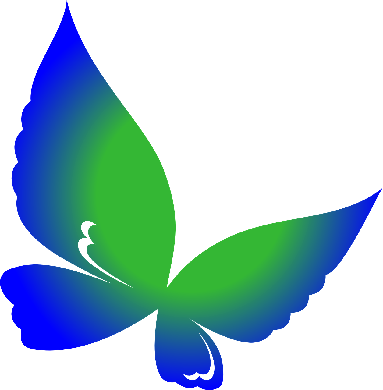 Teal Gradient Butterfly Graphic PNG image