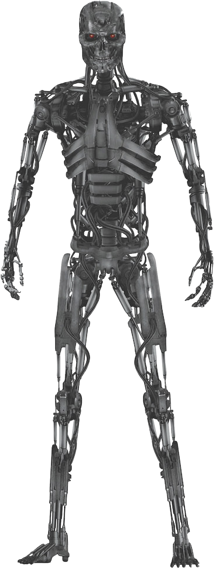 Terminator Endoskeleton Standing Pose PNG image