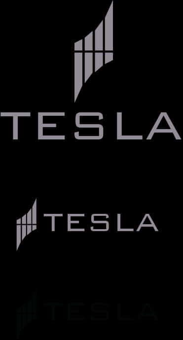 Tesla Logo Variations PNG image