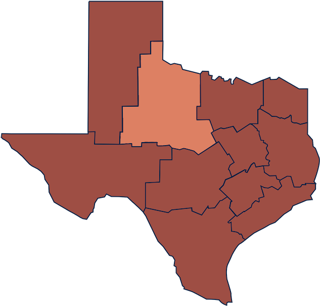 Texas Heat Map PNG image